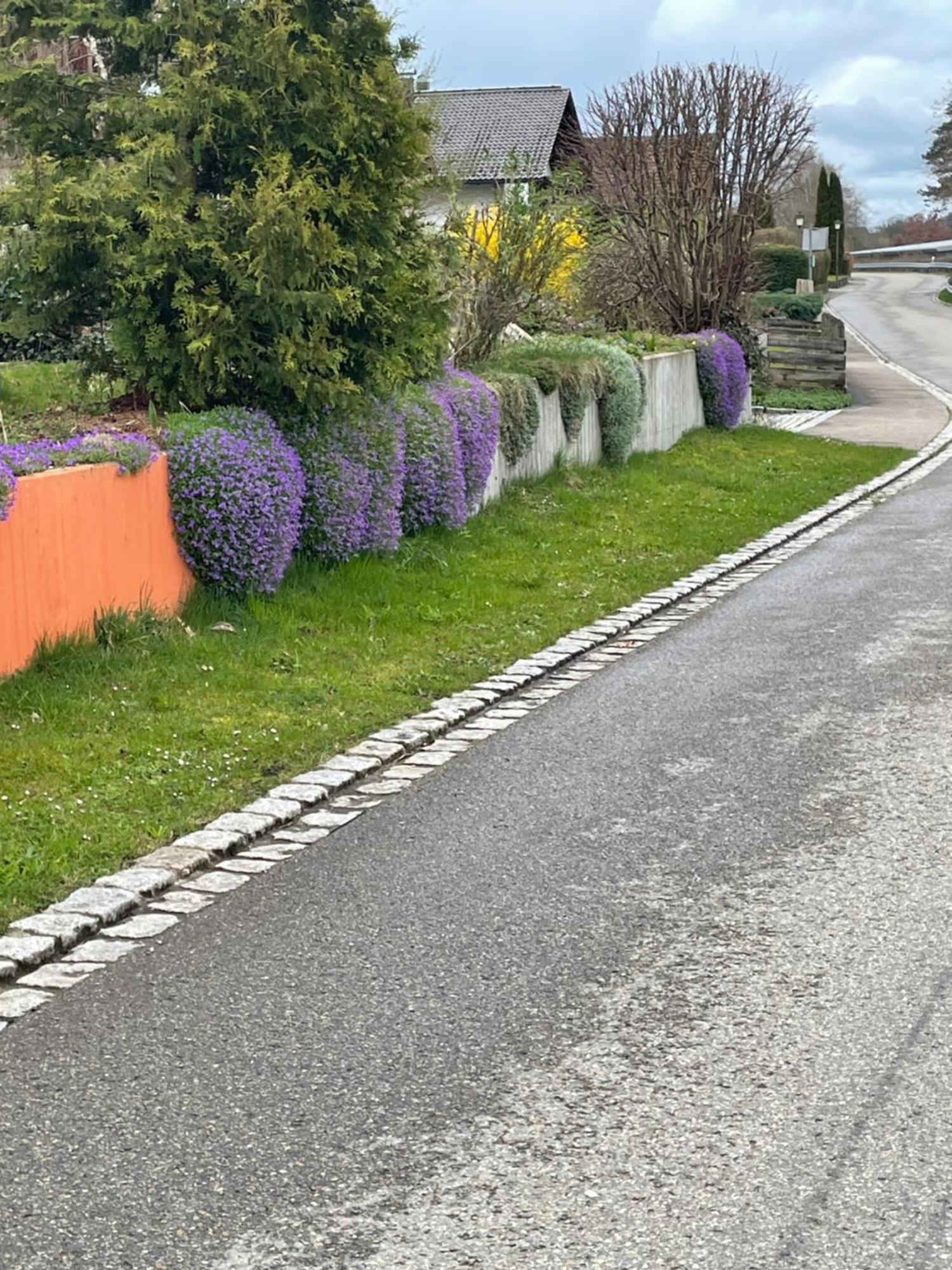Zimmer In Lautrach Eksteriør billede